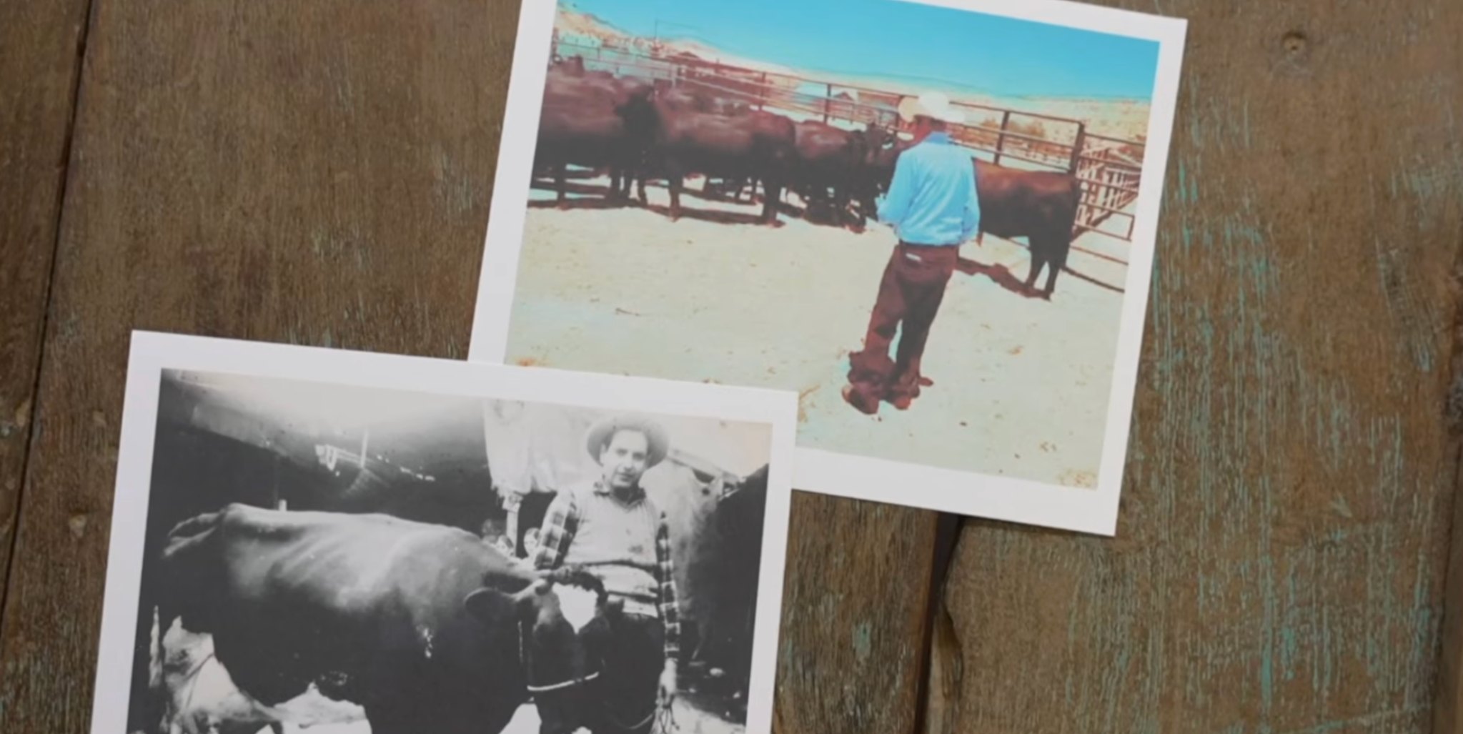 Fotografías históricas de la familia y el ganado